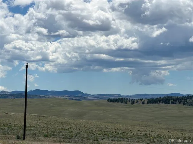 595 Bridle Path Hartsel, CO 80449