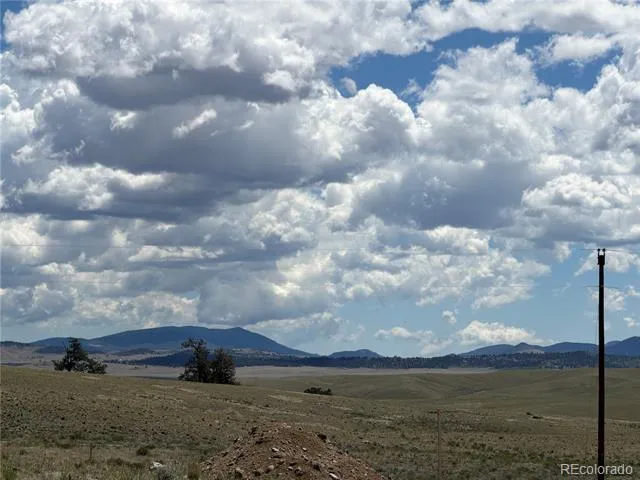 595 Bridle Path Hartsel, CO 80449