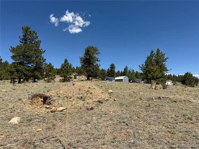 595 Bridle Path Hartsel, CO 80449