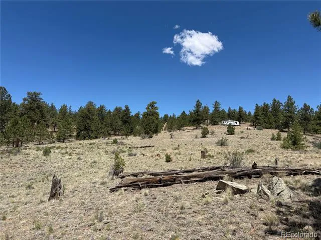 595 Bridle Path Hartsel, CO 80449