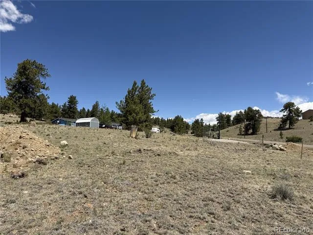 595 Bridle Path Hartsel, CO 80449