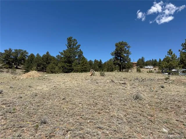 595 Bridle Path Hartsel, CO 80449