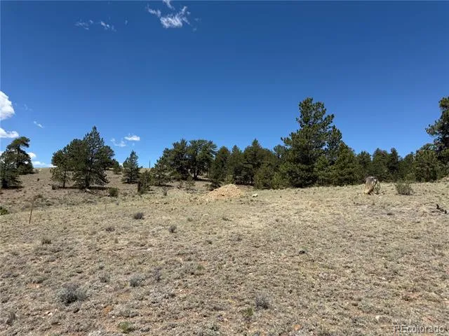 595 Bridle Path Hartsel, CO 80449