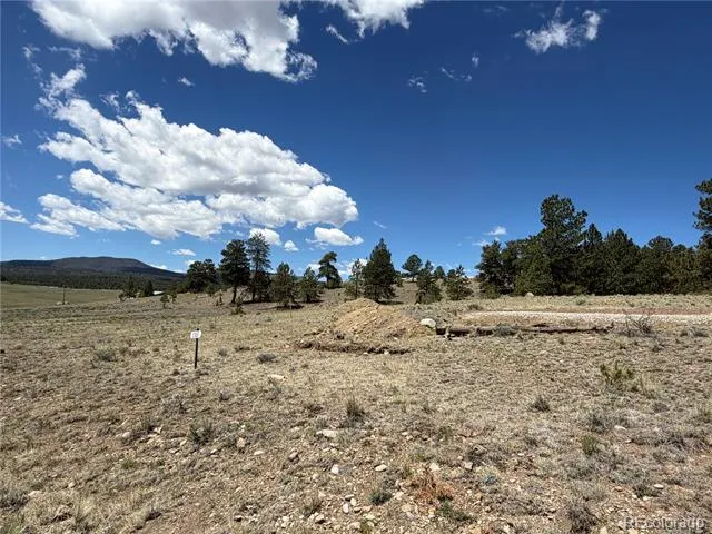 595 Bridle Path Hartsel, CO 80449