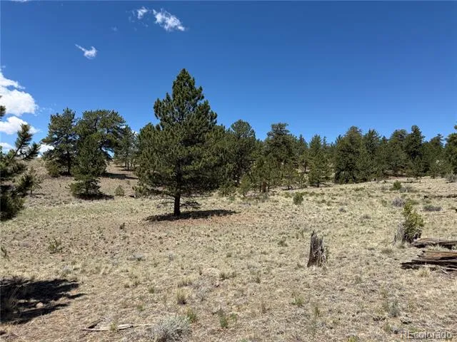 595 Bridle Path Hartsel, CO 80449