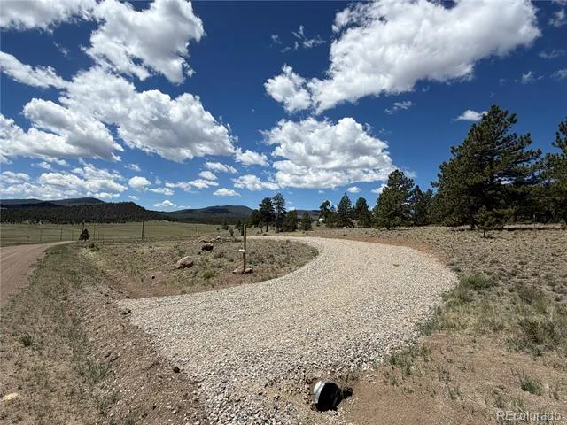 595 Bridle Path Hartsel, CO 80449