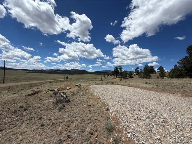 595 Bridle Path Hartsel, CO 80449