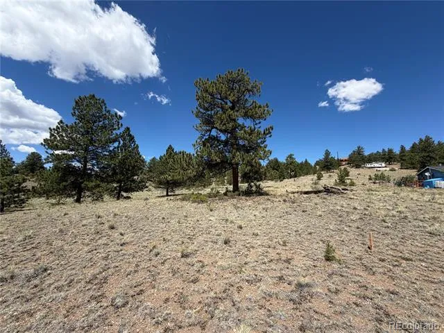 595 Bridle Path Hartsel, CO 80449
