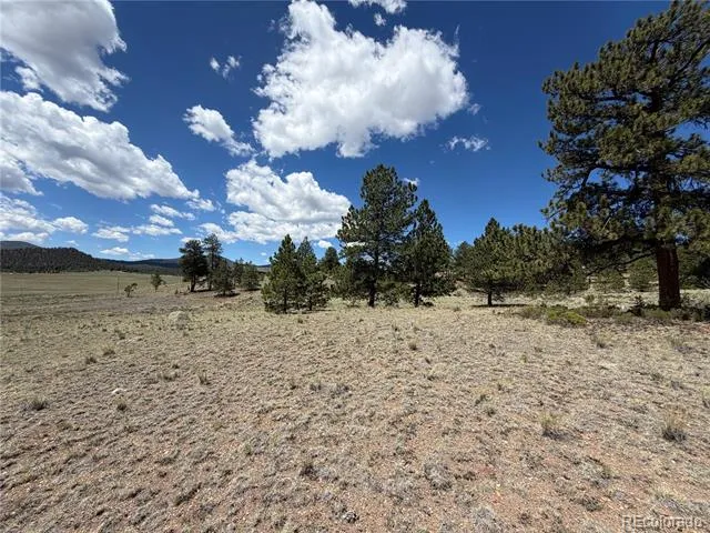 595 Bridle Path Hartsel, CO 80449