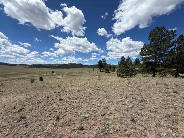 595 Bridle Path Hartsel, CO 80449