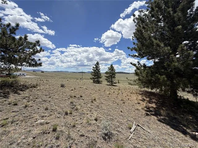 595 Bridle Path Hartsel, CO 80449