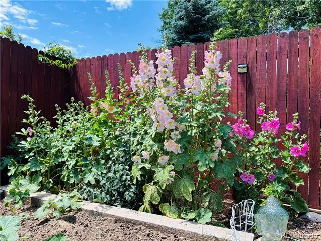 4301 S Alton Place Greenwood Village, CO 80111