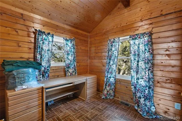 730 Cheyenne Creek Lake George, CO 80827