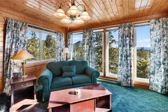 730 Cheyenne Creek Lake George, CO 80827