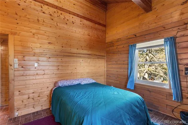 730 Cheyenne Creek Lake George, CO 80827