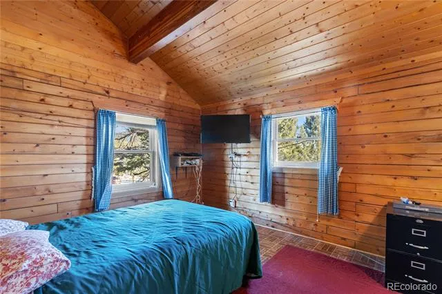 730 Cheyenne Creek Lake George, CO 80827