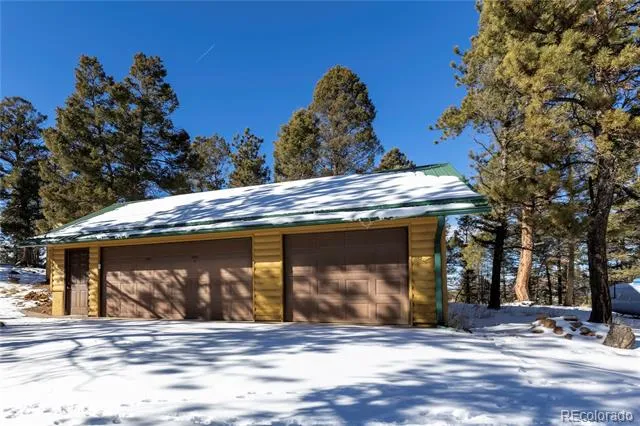 730 Cheyenne Creek Lake George, CO 80827