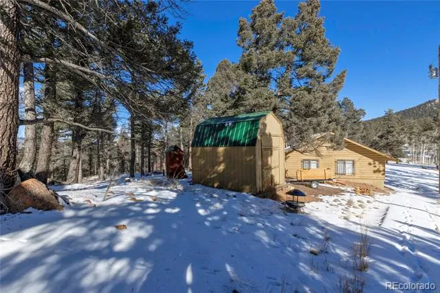 730 Cheyenne Creek Lake George, CO 80827