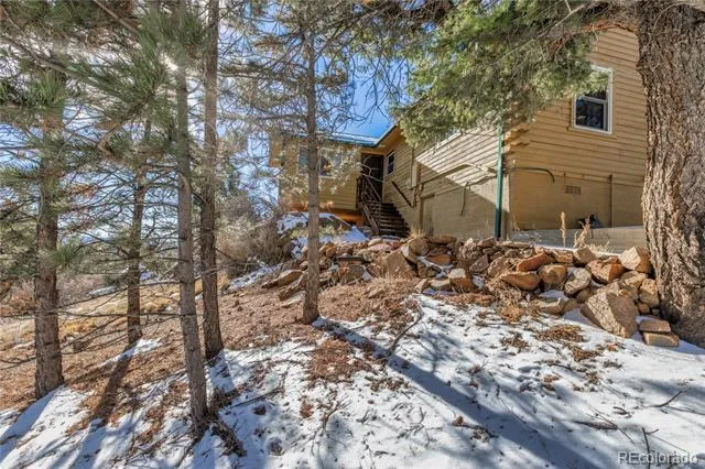 730 Cheyenne Creek Lake George, CO 80827