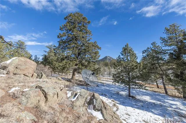 730 Cheyenne Creek Lake George, CO 80827