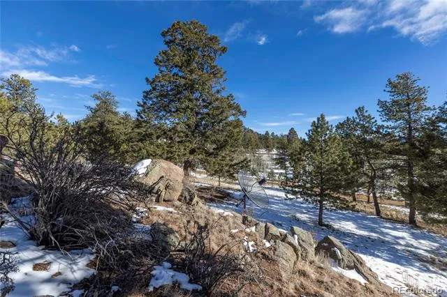 730 Cheyenne Creek Lake George, CO 80827