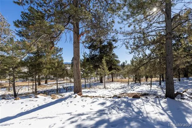 730 Cheyenne Creek Lake George, CO 80827