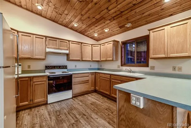 1292 Valley Of The Sun Drive Fairplay, CO 80440