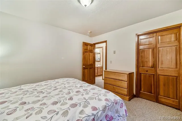 1292 Valley Of The Sun Drive Fairplay, CO 80440
