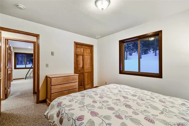 1292 Valley Of The Sun Drive Fairplay, CO 80440