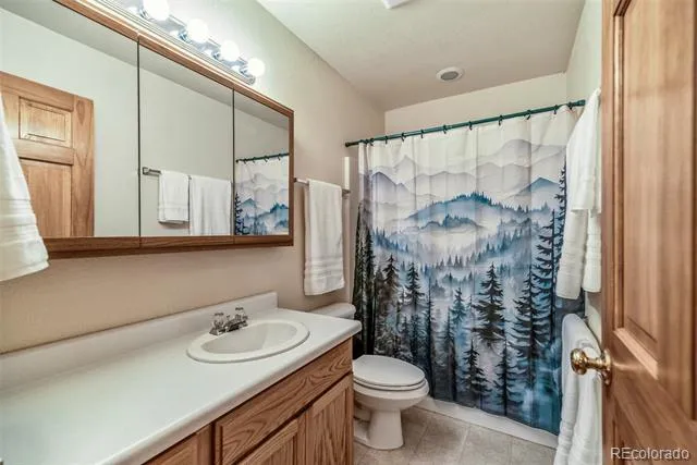 1292 Valley Of The Sun Drive Fairplay, CO 80440