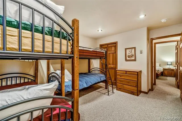 1292 Valley Of The Sun Drive Fairplay, CO 80440