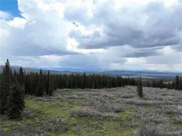 1292 Valley Of The Sun Drive Fairplay, CO 80440