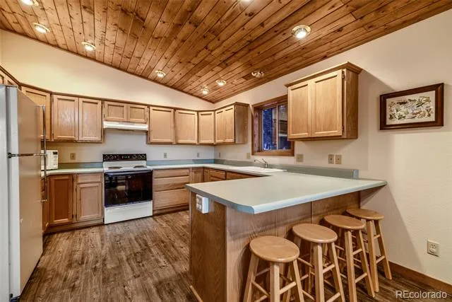 1292 Valley Of The Sun Drive Fairplay, CO 80440