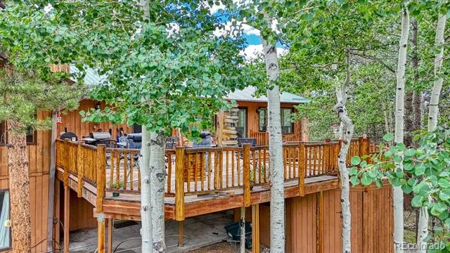 Address Not Shown Buena Vista, CO 81211