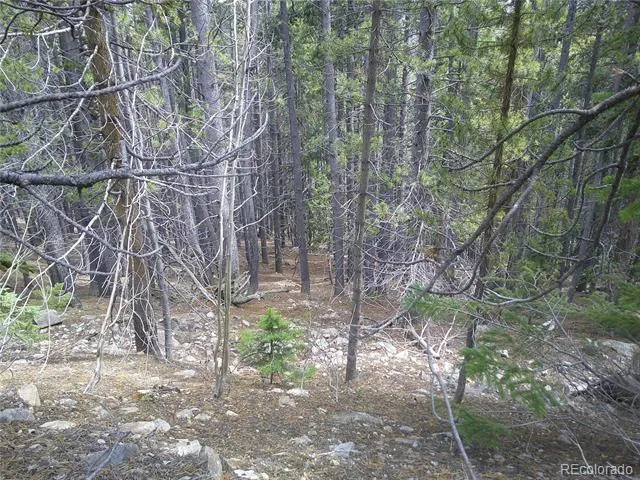 Lot #441 Hillside Road Idaho Springs, CO 80452