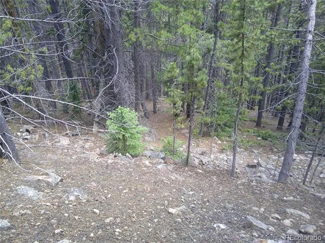 Lot #441 Hillside Road Idaho Springs, CO 80452