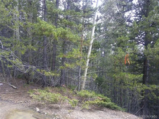 Lot #441 Hillside Road Idaho Springs, CO 80452