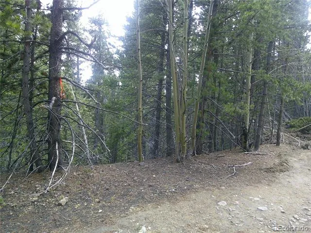 Lot #441 Hillside Road Idaho Springs, CO 80452
