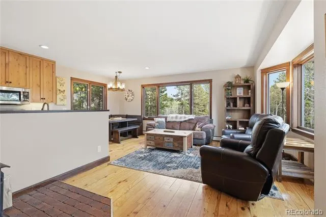 57 Trout Creek Circle Divide, CO 80814