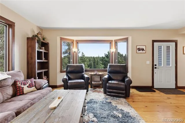 57 Trout Creek Circle Divide, CO 80814