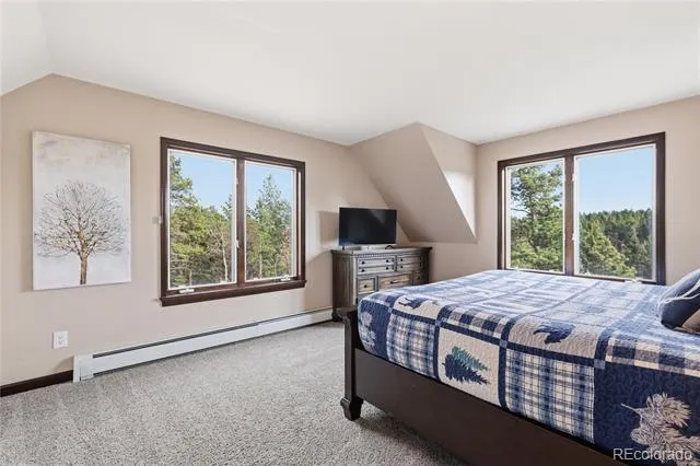 57 Trout Creek Circle Divide, CO 80814