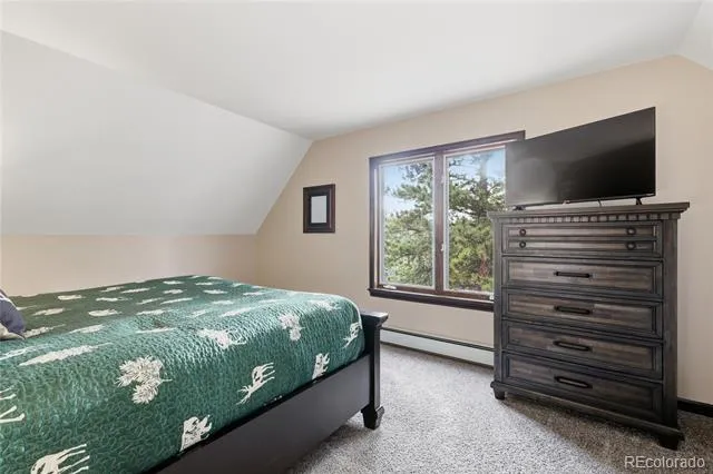 57 Trout Creek Circle Divide, CO 80814