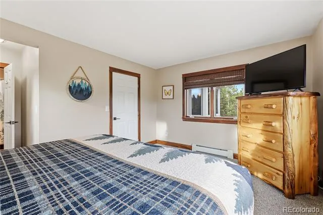 57 Trout Creek Circle Divide, CO 80814