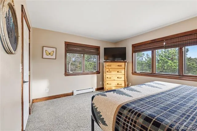 57 Trout Creek Circle Divide, CO 80814
