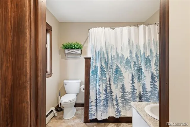 57 Trout Creek Circle Divide, CO 80814