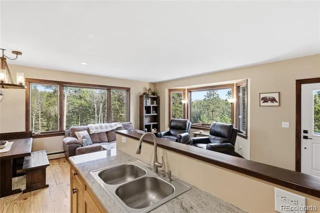 57 Trout Creek Circle Divide, CO 80814