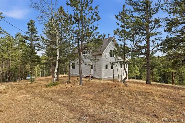 57 Trout Creek Circle Divide, CO 80814