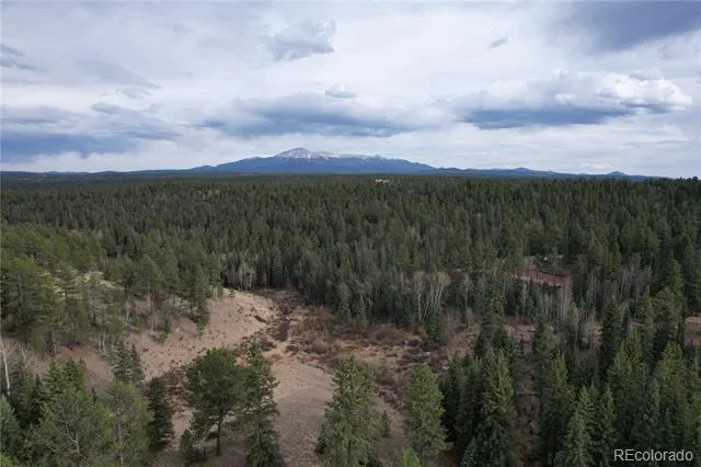 57 Trout Creek Circle Divide, CO 80814