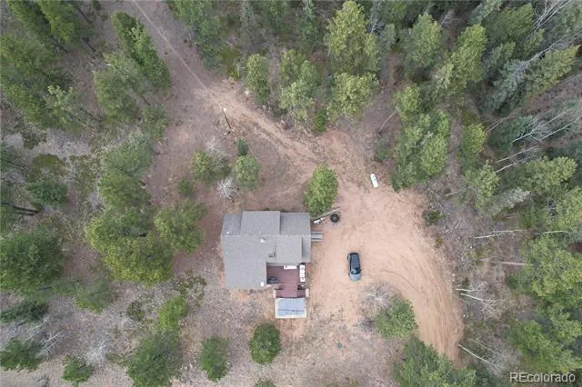 57 Trout Creek Circle Divide, CO 80814