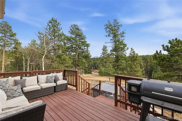 57 Trout Creek Circle Divide, CO 80814